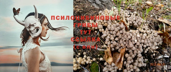 герыч Сафоново