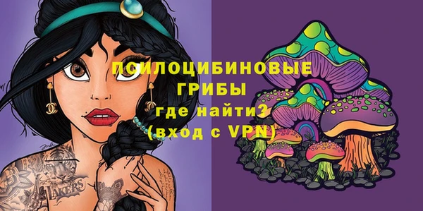 хмурый Россошь