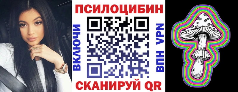 Купить закладки  Нижний Новгород  Псилоцибиновые грибы мицелий 