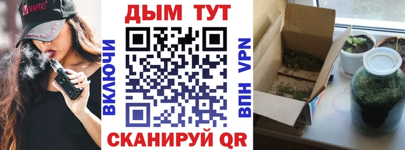 Купить закладки  Нижний Новгород  Конопля планчик 